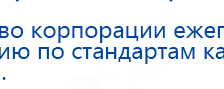 Пояс электрод купить в Киселёвске, Выносные электроды купить в Киселёвске, Дэнас официальный сайт denasolm.ru