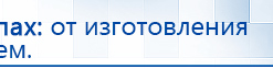 ДЭНАС-Остео купить в Киселёвске, Аппараты Дэнас купить в Киселёвске, Дэнас официальный сайт denasolm.ru